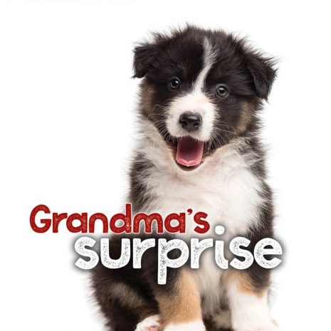 Grandmas_Surprise_RGB__84266.149